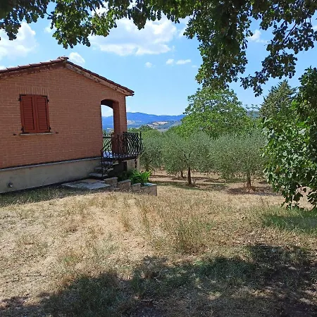 Tra Gli Ulivi Umbri * Corcia