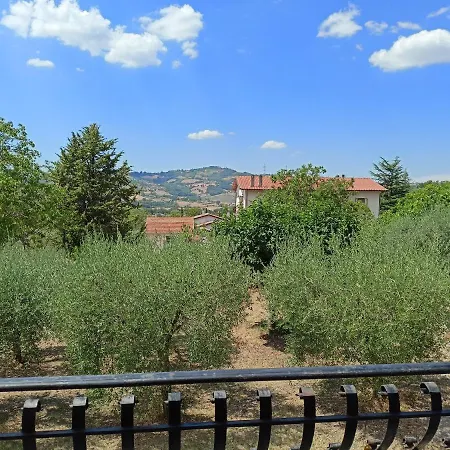 Tra Gli Ulivi Umbri