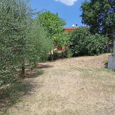 Tra Gli Ulivi Umbri Corcia