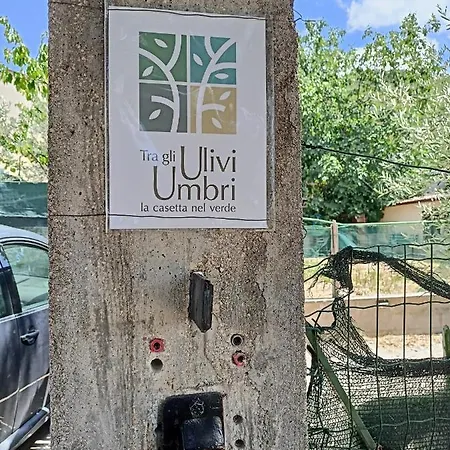 Tra Gli Ulivi Umbri Holiday home Corcia