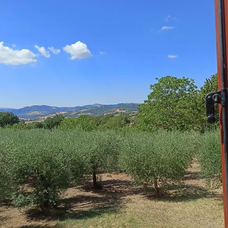 Tra Gli Ulivi Umbri Corcia