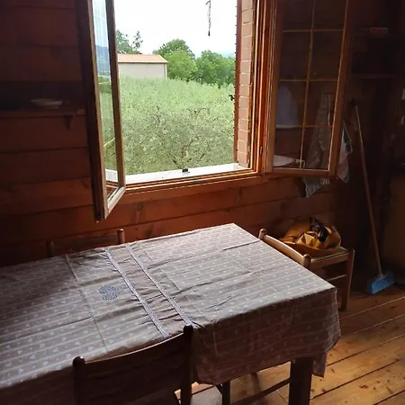 Tra Gli Ulivi Umbri *